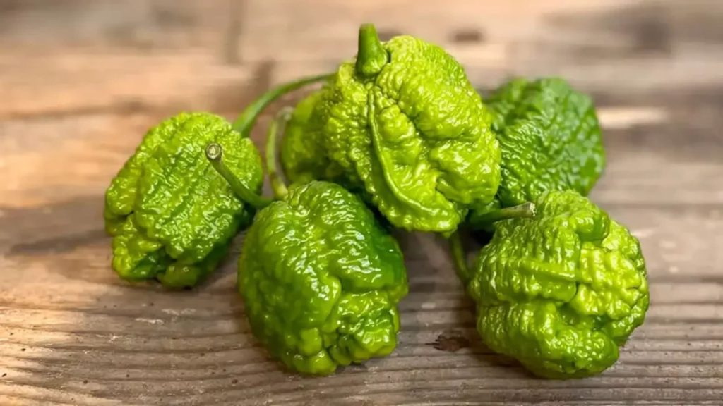 Pepper X Pepper X