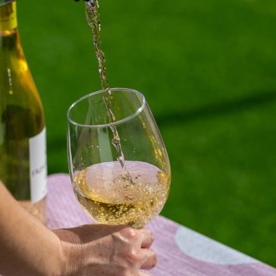 Vinos 3