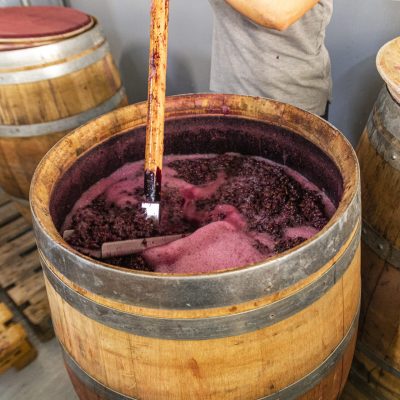 Vinos 4
