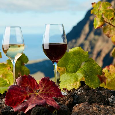 Vinos 5