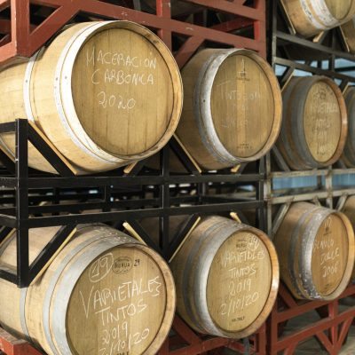 Vinos 6